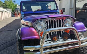 Jeep-Cj5-1977-purple-2