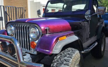 Jeep-Cj5-1977-purple-3
