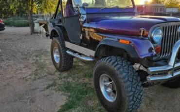 Jeep-Cj5-1977-purple-4