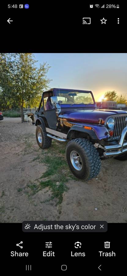 Jeep-Cj5-1977-purple-4