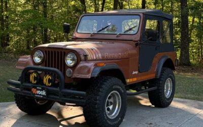 Jeep Cj5  1983 brown