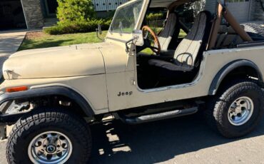 Jeep-Cj7-1984-brown