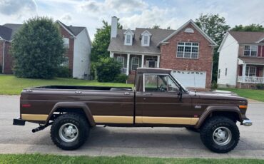 Jeep-Gladiator-j20-1974-brown-4
