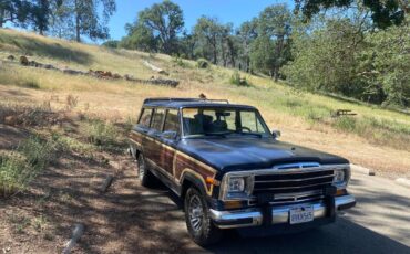 Jeep-Grand-wagoneer-1990-blue-5