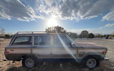 Jeep-Grand-wagoneer-1994-green-3