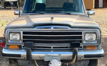 Jeep-Grand-wagoneer-1994-green-4