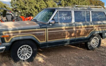 Jeep-Grand-wagoneer-1994-green-5