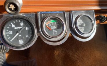 Jeep-J10-Truck-HONCHO-1981-29
