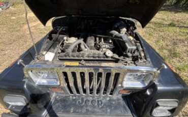 Jeep-Renegade-1991-SUV-8