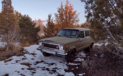 Jeep Wagoneer  1976 green