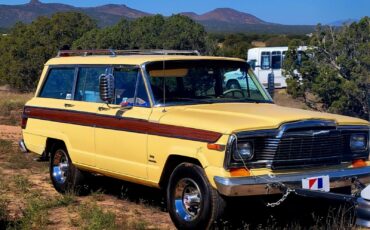 Jeep-Wagoneer-1980-Wagon-2