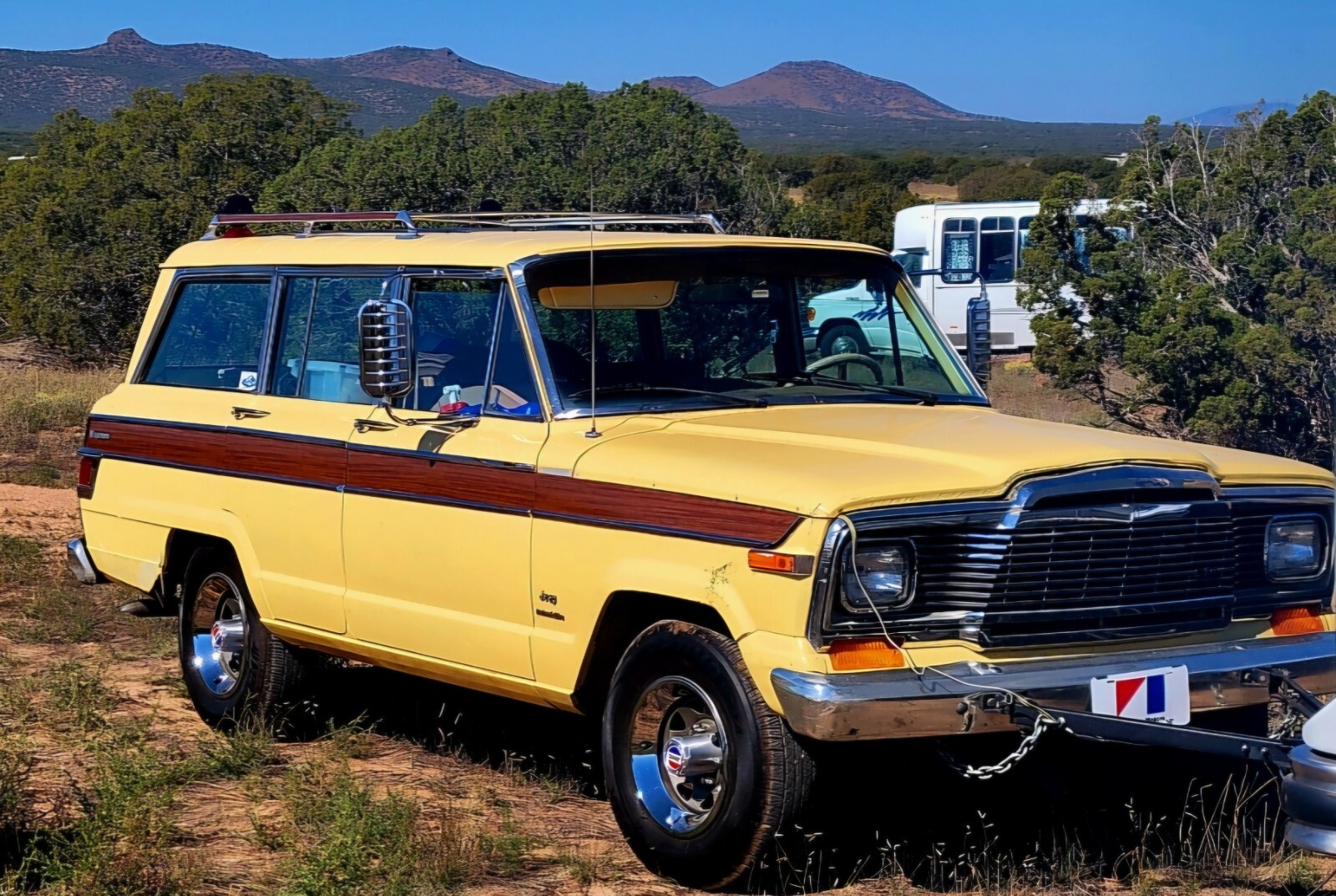 Jeep-Wagoneer-1980-Wagon-2