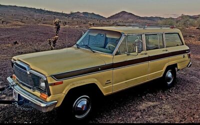 Jeep Wagoneer 1980 Wagon