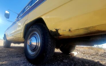 Jeep-Wagoneer-1980-Wagon-5