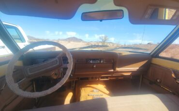 Jeep-Wagoneer-1980-Wagon-8