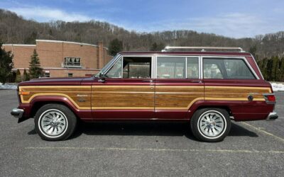 Jeep Wagoneer  1981