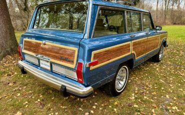 Jeep-Wagoneer-1991-SUV-15