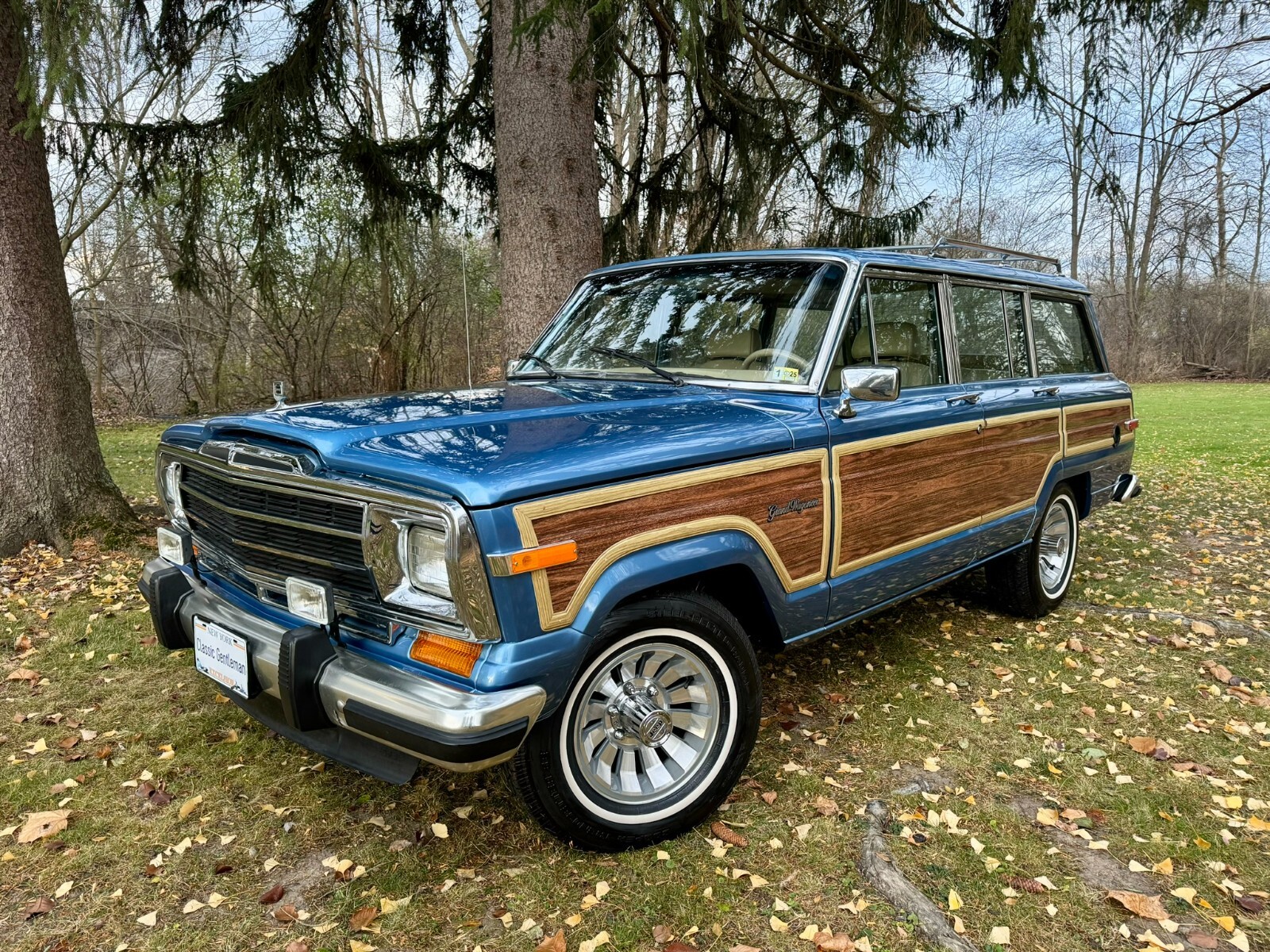 Jeep-Wagoneer-1991-SUV-2