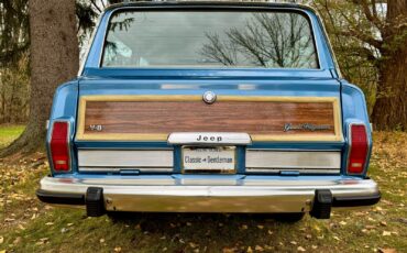 Jeep-Wagoneer-1991-SUV-20