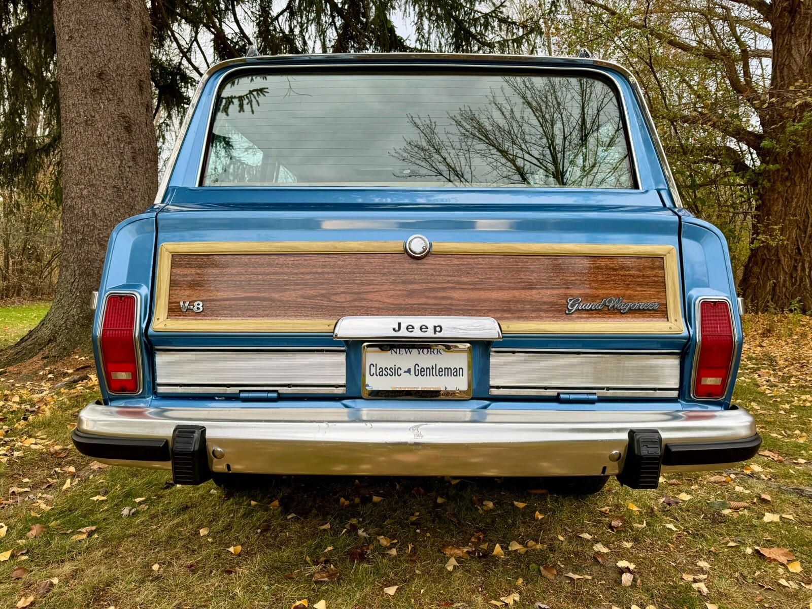 Jeep-Wagoneer-1991-SUV-20