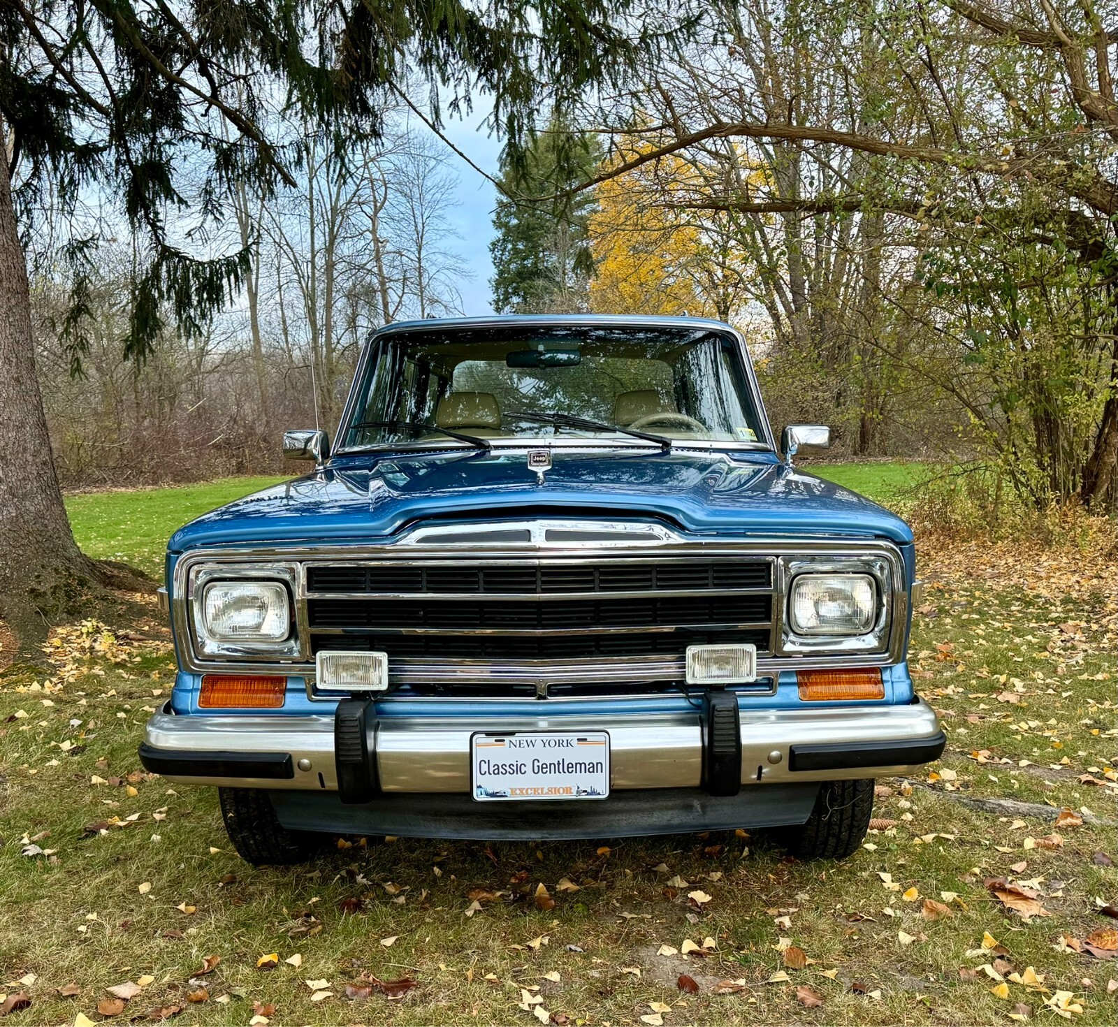Jeep-Wagoneer-1991-SUV-3