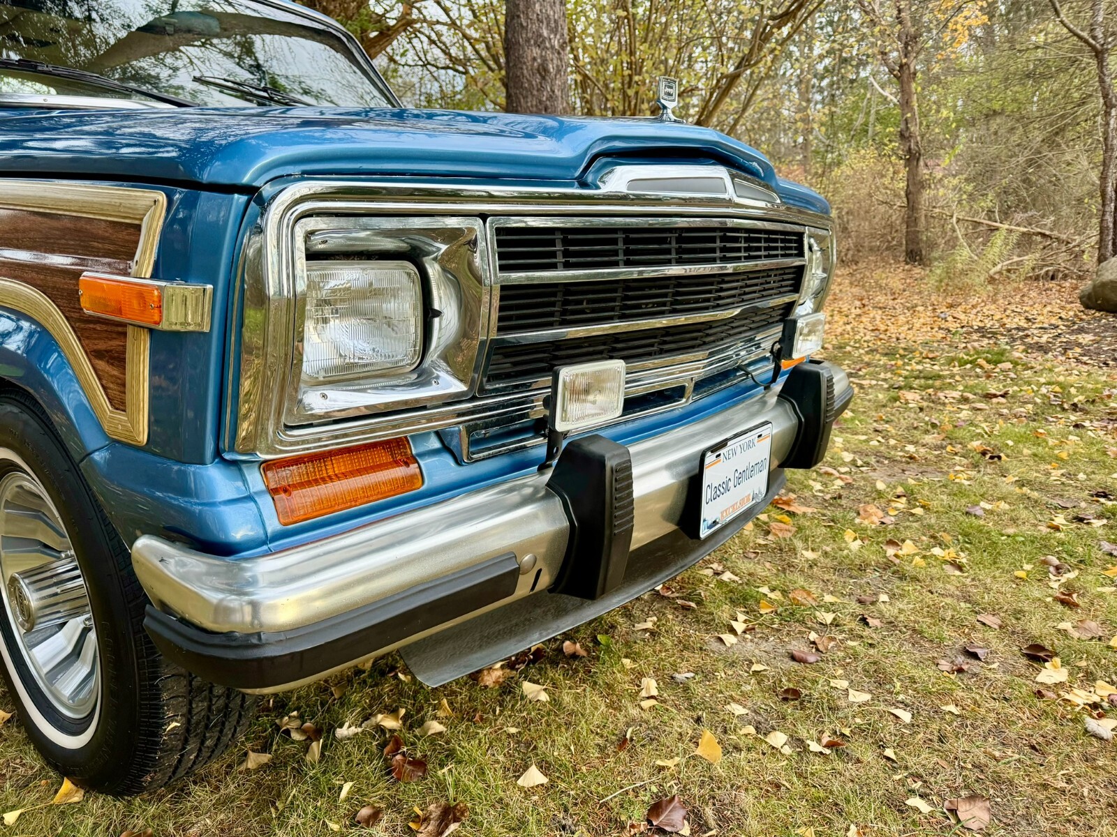 Jeep-Wagoneer-1991-SUV-4