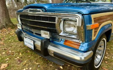 Jeep-Wagoneer-1991-SUV-5
