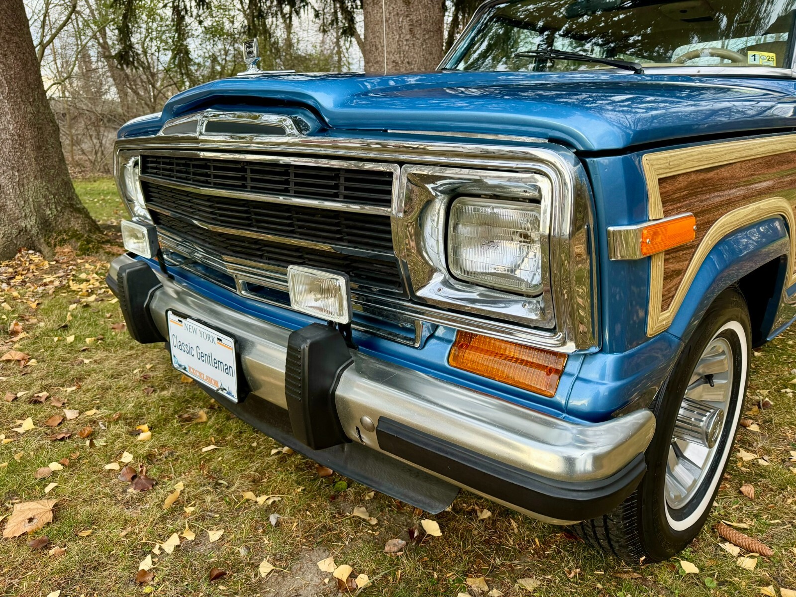 Jeep-Wagoneer-1991-SUV-5