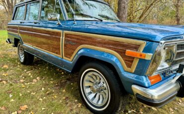 Jeep-Wagoneer-1991-SUV-6