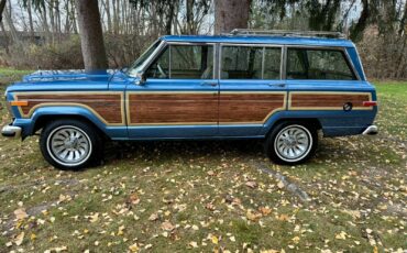 Jeep-Wagoneer-1991-SUV-8