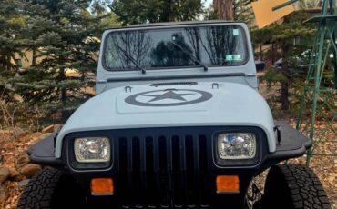 Jeep-Wrangler-1993-grey-2