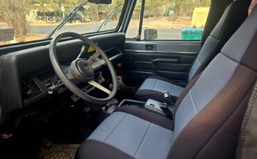 Jeep-Wrangler-1993-grey-3