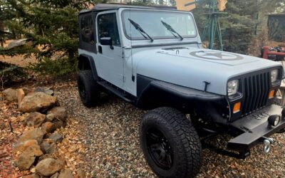 Jeep Wrangler  1993 grey