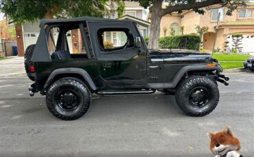 Jeep-Wrangler-1994-Wagon-1