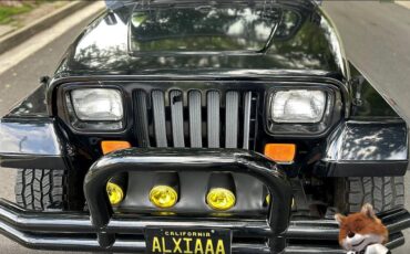 Jeep-Wrangler-1994-Wagon-10