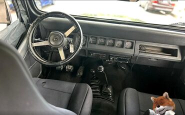 Jeep-Wrangler-1994-Wagon-11