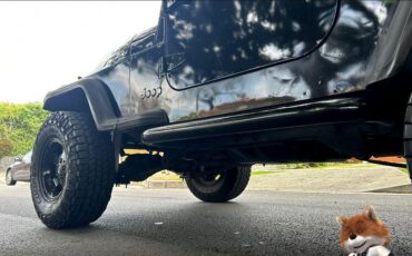 Jeep-Wrangler-1994-Wagon-12