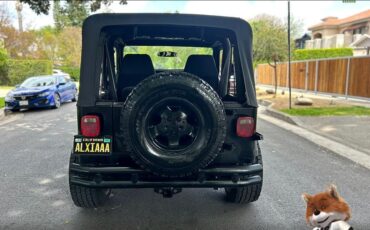 Jeep-Wrangler-1994-Wagon-15