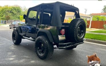 Jeep-Wrangler-1994-Wagon-16