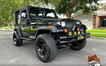 Jeep-Wrangler-1994-Wagon-2