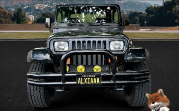 Jeep-Wrangler-1994-Wagon