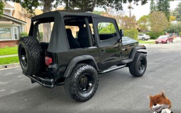 Jeep-Wrangler-1994-Wagon-6