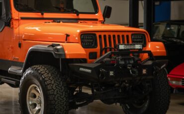 Jeep-Wrangler-Custom-1994-SUV-11