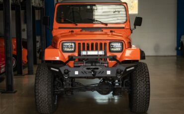 Jeep-Wrangler-Custom-1994-SUV-12