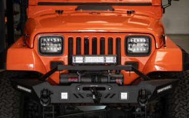 Jeep-Wrangler-Custom-1994-SUV-14