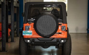 Jeep-Wrangler-Custom-1994-SUV-16