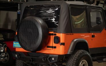 Jeep-Wrangler-Custom-1994-SUV-24