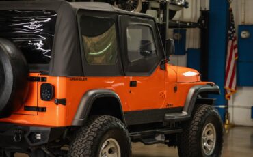 Jeep-Wrangler-Custom-1994-SUV-25