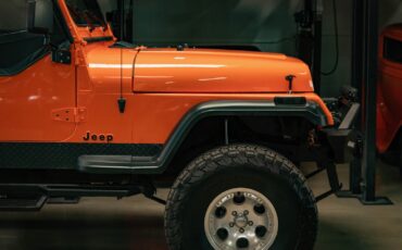 Jeep-Wrangler-Custom-1994-SUV-3