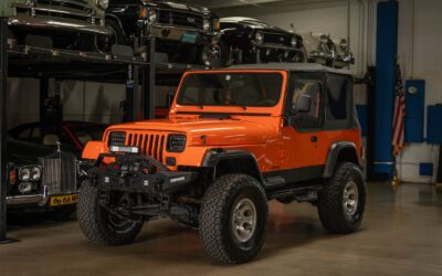 Jeep Wrangler Custom 1994 SUV